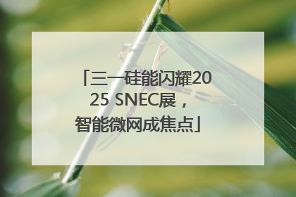 三一硅能闪耀2025 SNEC展，智能微网成焦点