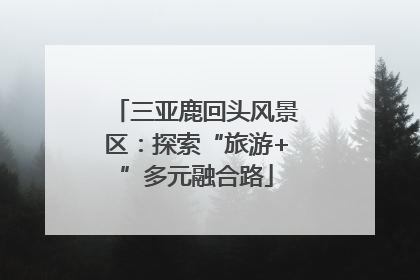 三亚鹿回头风景区：探索“旅游+”多元融合路