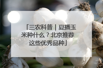 三农科普｜夏播玉米种什么？北京推荐这些优秀品种