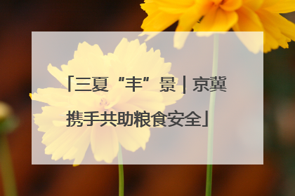 三夏“丰”景｜京冀携手共助粮食安全