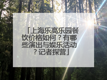 上海乐高乐园餐饮价格如何？有哪些演出与娱乐活动？记者探营