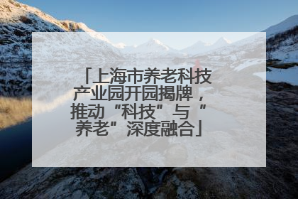上海市养老科技产业园开园揭牌，推动“科技”与“养老”深度融合
