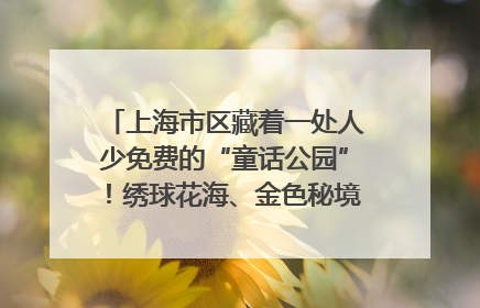 上海市区藏着一处人少免费的“童话公园”！绣球花海、金色秘境……地铁直达→