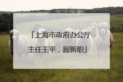 上海市政府办公厅主任王平，履新职
