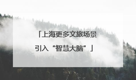 上海更多文旅场景引入“智慧大脑”