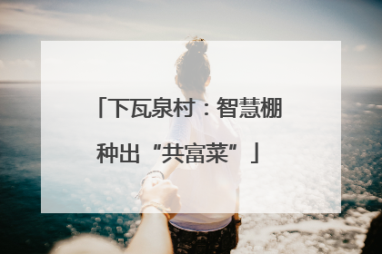 下瓦泉村：智慧棚种出“共富菜”