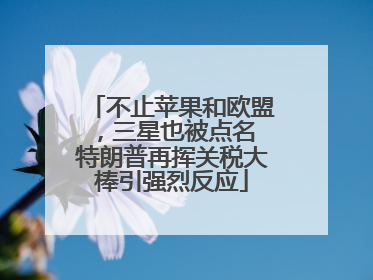 不止苹果和欧盟，三星也被点名 特朗普再挥关税大棒引强烈反应