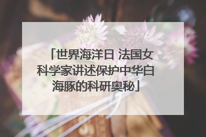 世界海洋日 法国女科学家讲述保护中华白海豚的科研奥秘