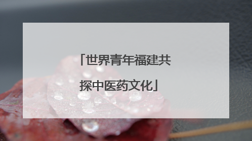 世界青年福建共探中医药文化
