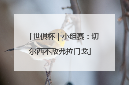世俱杯｜小组赛：切尔西不敌弗拉门戈