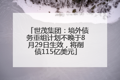 世茂集团：境外债务重组计划不晚于8月29日生效，将削债115亿美元