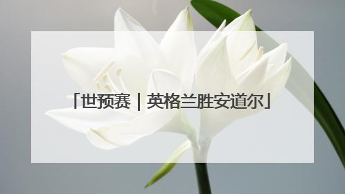 世预赛｜英格兰胜安道尔