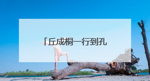 丘成桐一行到孔子研究院考察