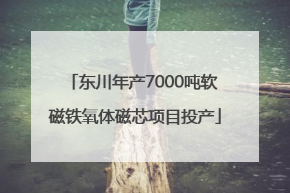 东川年产7000吨软磁铁氧体磁芯项目投产