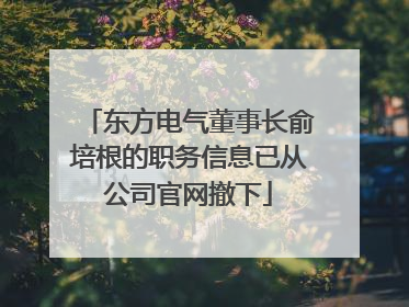 东方电气董事长俞培根的职务信息已从公司官网撤下