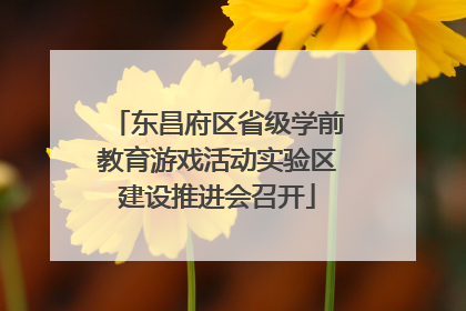 东昌府区省级学前教育游戏活动实验区建设推进会召开