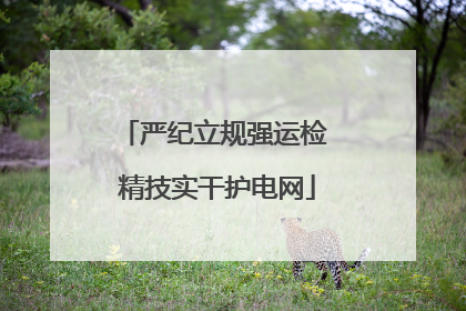 严纪立规强运检 精技实干护电网