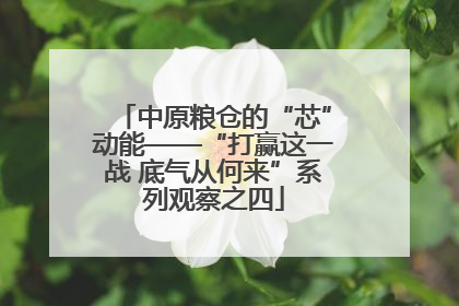 中原粮仓的“芯”动能——“打赢这一战 底气从何来”系列观察之四