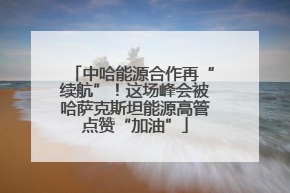 中哈能源合作再“续航”！这场峰会被哈萨克斯坦能源高管点赞“加油”