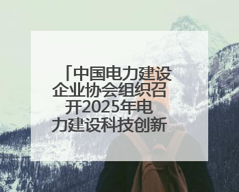 中国电力建设企业协会组织召开2025年电力建设科技创新交流会