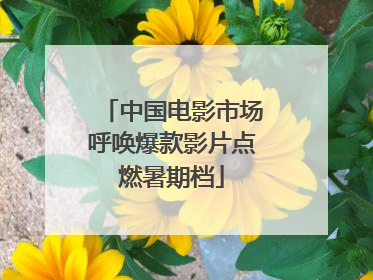 中国电影市场呼唤爆款影片点燃暑期档