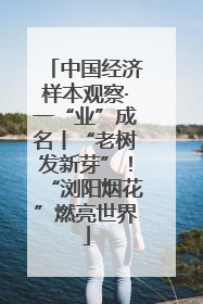 中国经济样本观察·一“业”成名丨“老树发新芽”！“浏阳烟花”燃亮世界