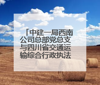 中建一局西南公司总部党总支与四川省交通运输综合行政执法总队第三支队党委、万源市草坝镇莲花院村党支部开展党建联建