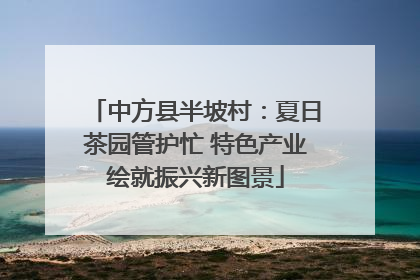 中方县半坡村：夏日茶园管护忙 特色产业绘就振兴新图景