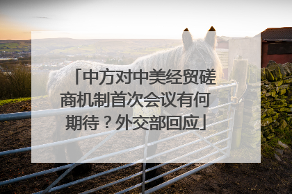 中方对中美经贸磋商机制首次会议有何期待？外交部回应
