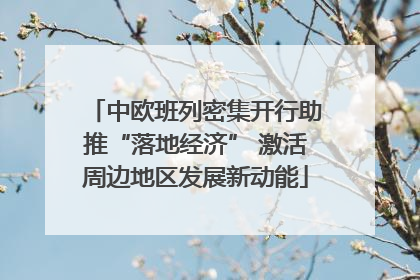 中欧班列密集开行助推“落地经济” 激活周边地区发展新动能