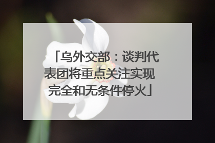 乌外交部：谈判代表团将重点关注实现完全和无条件停火