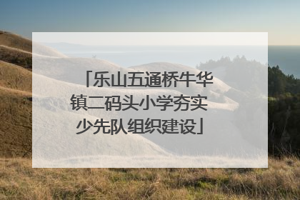 乐山五通桥牛华镇二码头小学夯实少先队组织建设