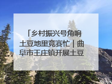 乡村振兴号角响 土豆地里竞赛忙｜曲阜市王庄镇开展土豆收获劳动竞赛