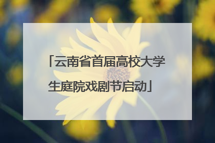 云南省首届高校大学生庭院戏剧节启动