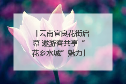 云南宜良花街启幕 邀游客共享“花乡水城”魅力