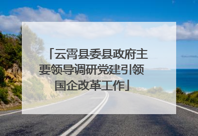 云霄县委县政府主要领导调研党建引领国企改革工作