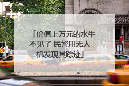 价值上万元的水牛不见了 民警用无人机发现其踪迹