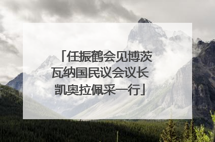 任振鹤会见博茨瓦纳国民议会议长凯奥拉佩采一行