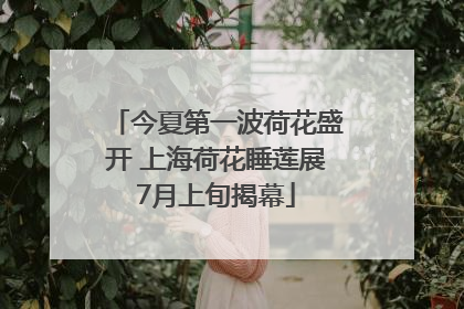 今夏第一波荷花盛开 上海荷花睡莲展7月上旬揭幕