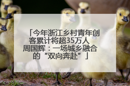 今年浙江乡村青年创客累计将超35万人 周国辉：一场城乡融合的“双向奔赴”