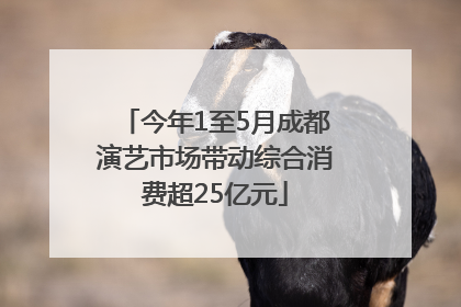 今年1至5月成都演艺市场带动综合消费超25亿元