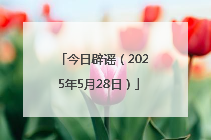 今日辟谣（2025年5月28日）