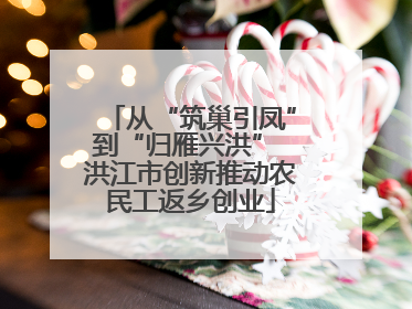 从“筑巢引凤”到“归雁兴洪” 洪江市创新推动农民工返乡创业