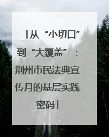 从“小切口”到“大覆盖”：荆州市民法典宣传月的基层实践密码