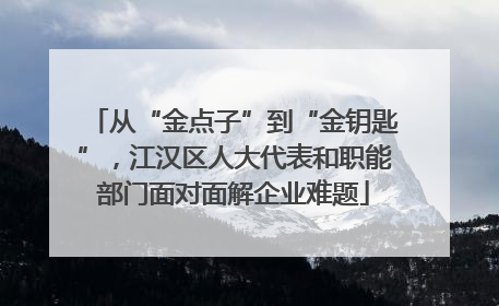 从“金点子”到“金钥匙”，江汉区人大代表和职能部门面对面解企业难题