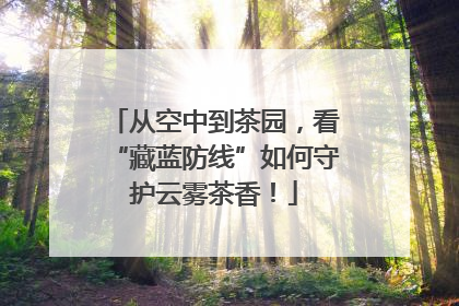 从空中到茶园，看“藏蓝防线”如何守护云雾茶香！