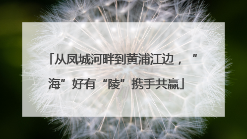 从凤城河畔到黄浦江边，“海”好有“陵”携手共赢