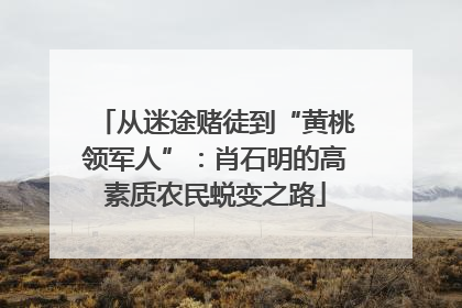 从迷途赌徒到“黄桃领军人”：肖石明的高素质农民蜕变之路