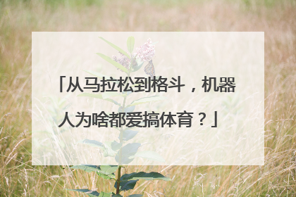 从马拉松到格斗，机器人为啥都爱搞体育？