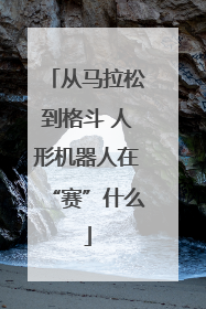 从马拉松到格斗 人形机器人在“赛”什么